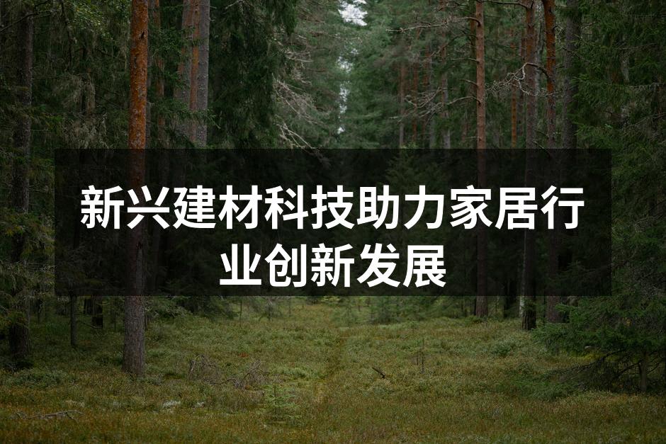 新兴建材科技助力家居行业创新发展